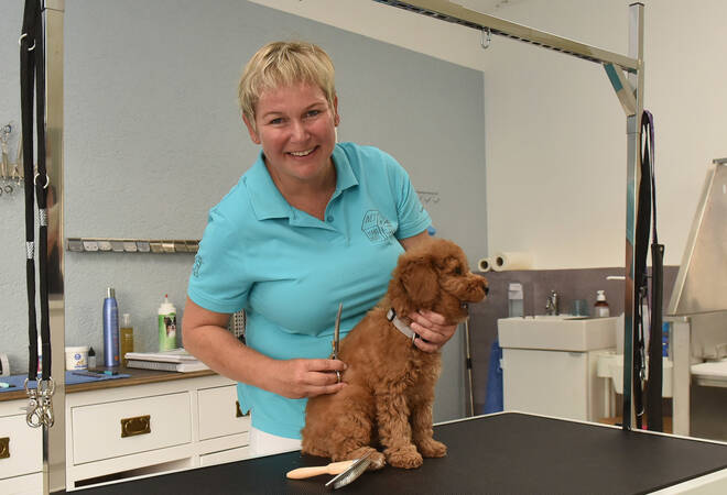 
		Hirschberg-Leutershausen:  Wie Hundefriseure für die Wiedereröffnung ihrer Salons kämpfen
		