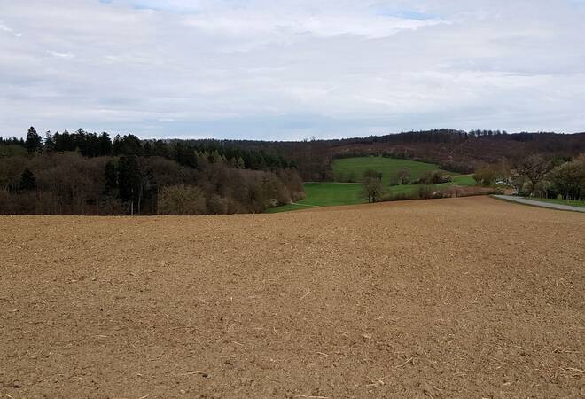 
		Wasserversorgung:  Wie das Wasser nach Binau kommt
		