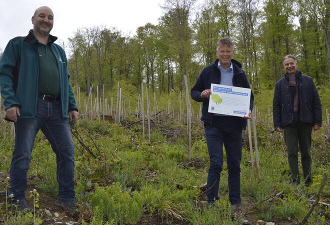 
		Neckarelz:  5000 Bäume für den Stadtwald gespendet
		