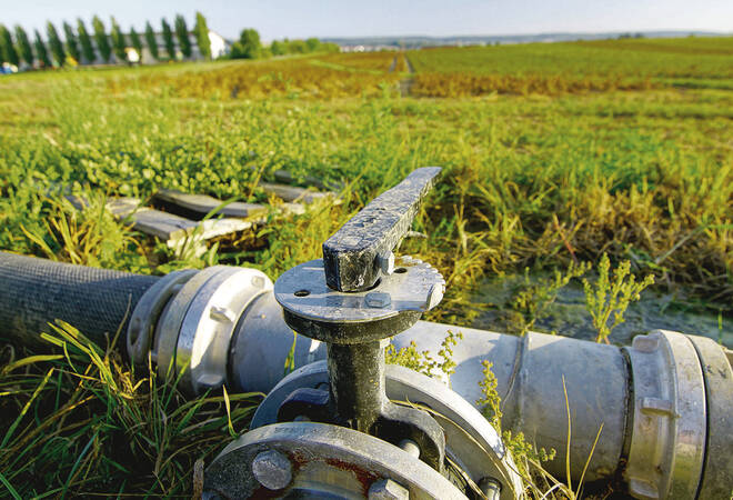 
		Brunnen und Bäche:  Diskussion um Wasserentnahme in Eppingen geht weiter
		