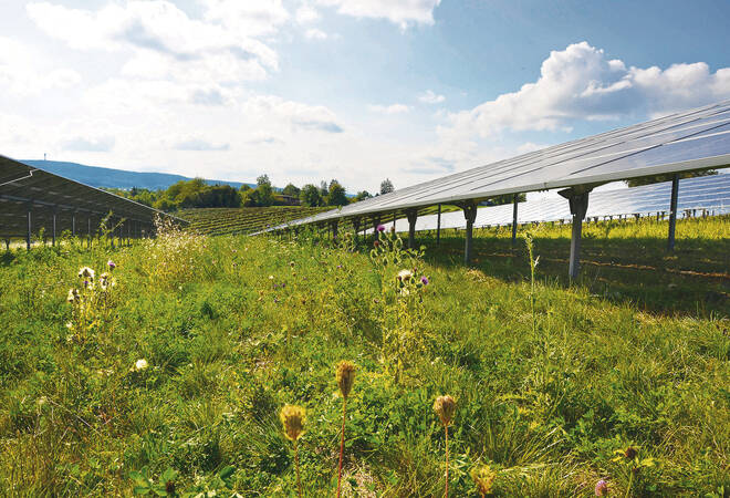
		Gemmingen:  Klares Bekenntnis für Solarpark
		