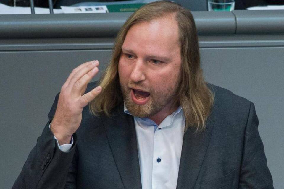 Grünen-Fraktionschef Hofreiter
