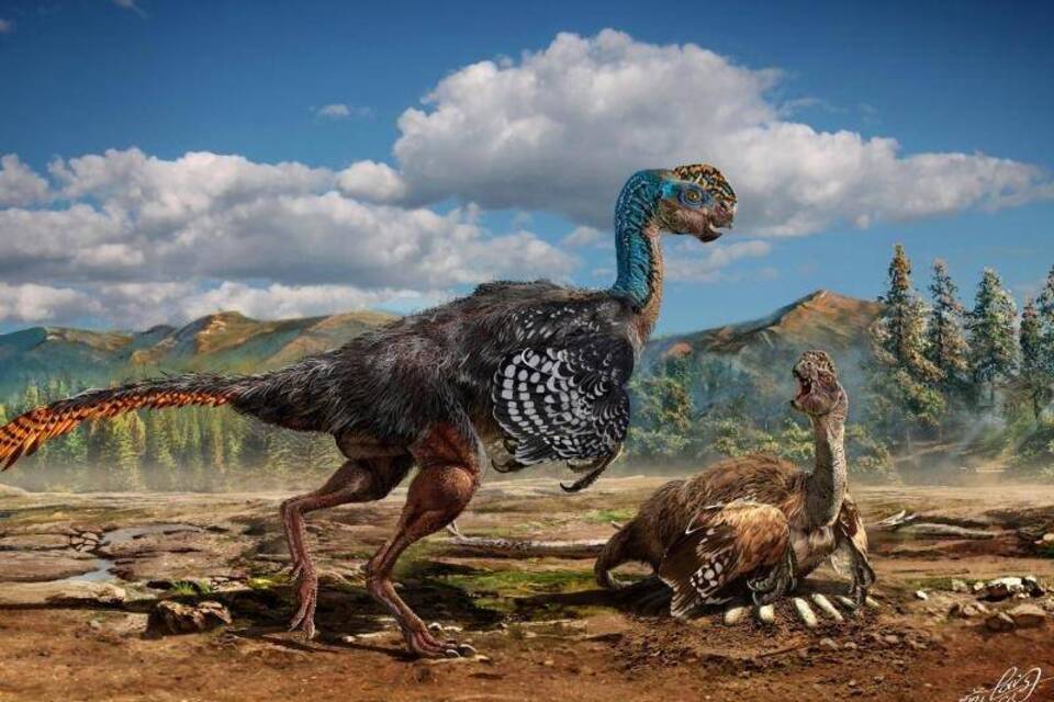 Reste von Dinoart mit Federn gefunden