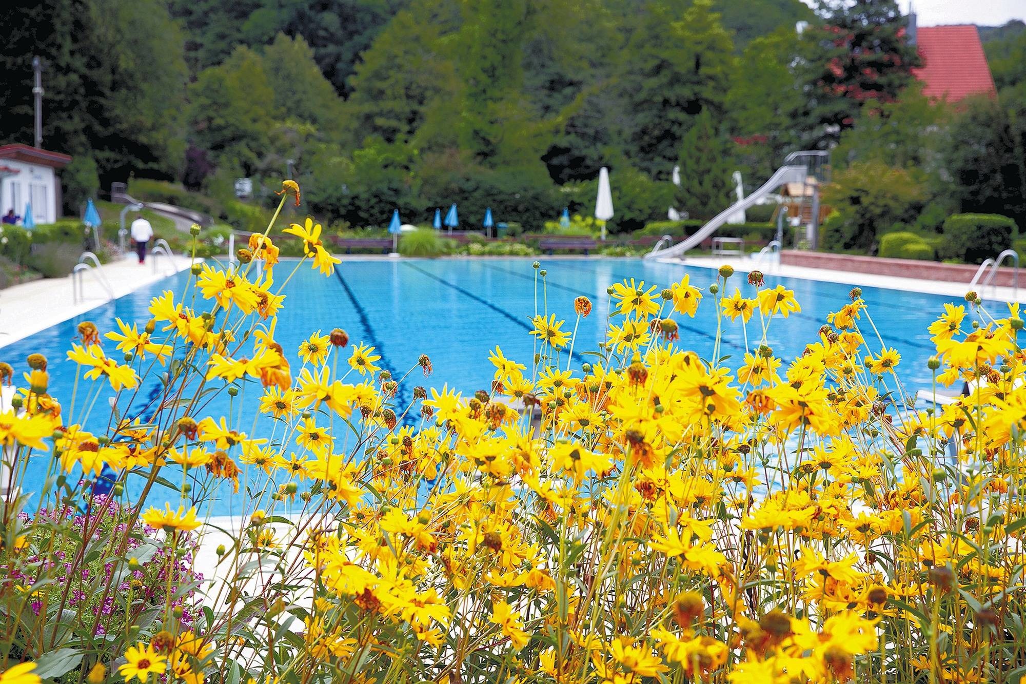 Ladenburger freibad Ladenburger freibad