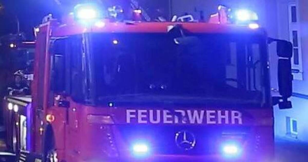 Walldorf: Erneut brennt eine Holzhütte im Feldgebiet - Rhein-Neckar Zeitung