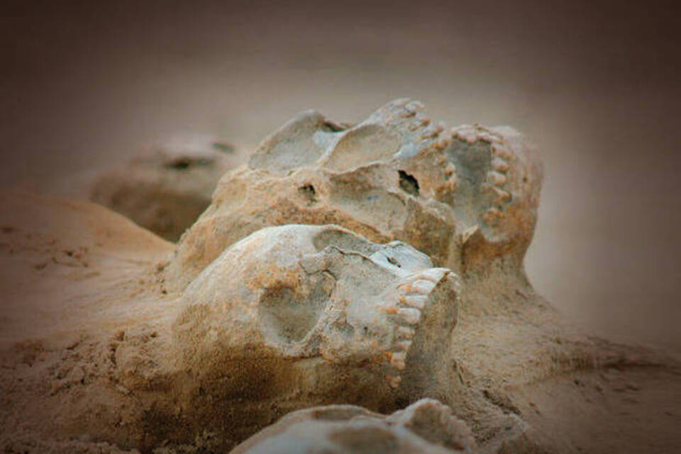 Kriegs-Archäologie oder wann hat wer wem die Köpfe eingeschlagen Kriegs-Archäologie oder wann hat wer wem die Köpfe eingeschlagen