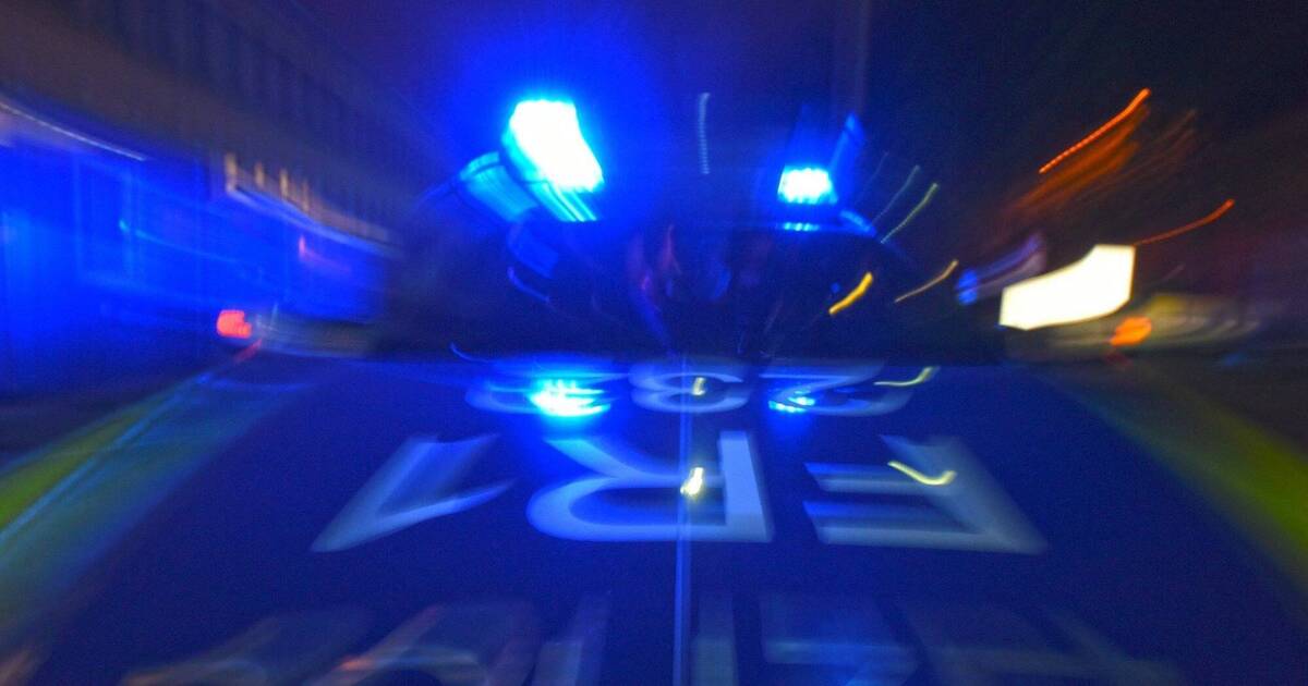 Untergruppenbach: Auto fährt gegen Baum - Fahrer tödlich verletzt - Rhein-Neckar Zeitung