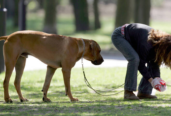 
		Mannheim:  Stadt will strenger gegen Hundekot vorgehen
		