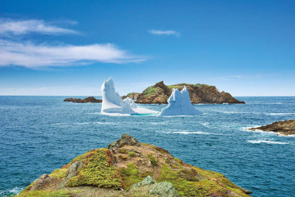 Eisberge und Wale garantiert - Unterwegs in Neufundland