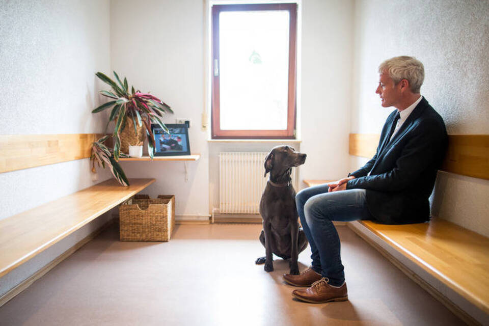 Erziehung und Ruhe helfen: Tipps für den Besuch beim Tierarzt