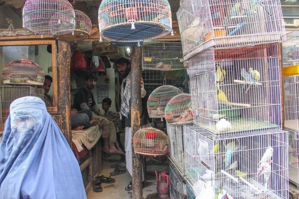 Die guten Vogelmenschen von Kabul