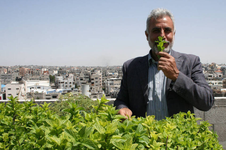 Oase in Gaza - Hobby-Gärtner züchtet Gemüse ohne Erde