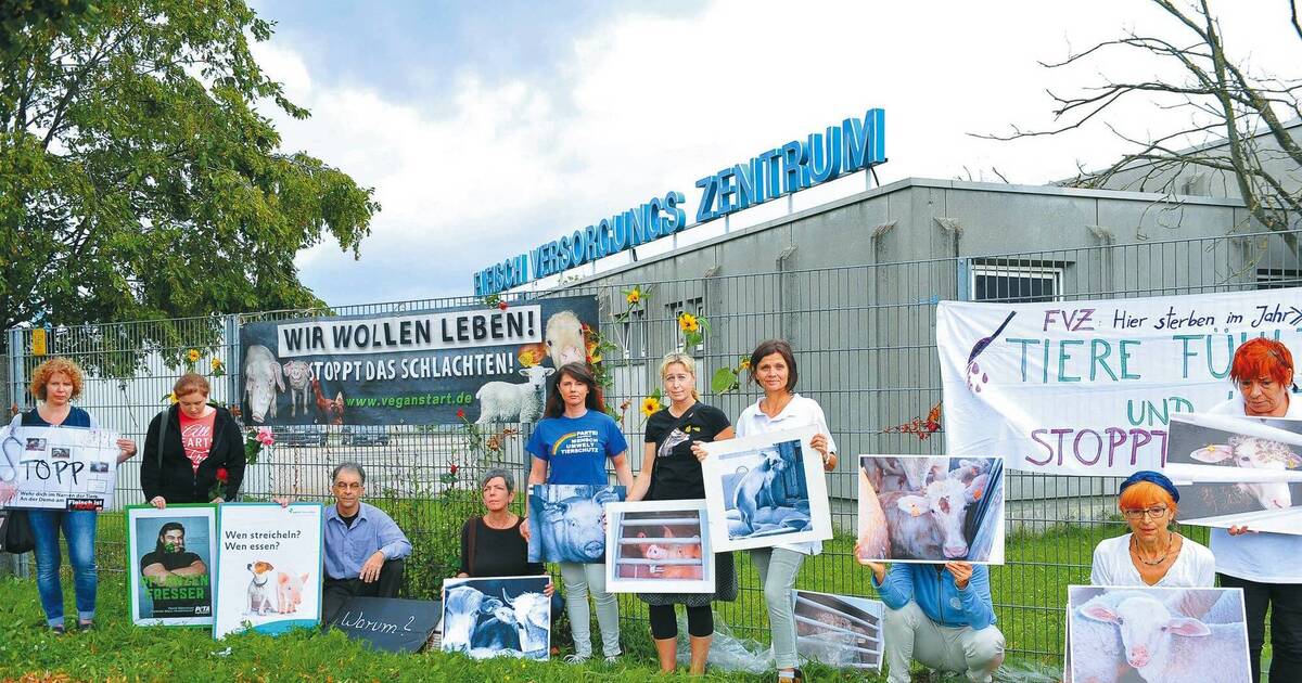 Baktefort die Tropfen von den Parasiten, in dnepropetrowske zu kaufen