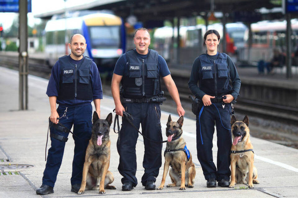 Diensthunde bei der Bundespolizei: «Die Hunde sind Teil der Familie»