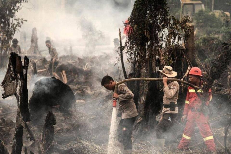 Waldbrand in Indonesien