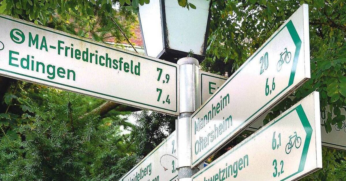 Eppelheim: Die Bürgermeisterwahl wird angefochten - Rhein-Neckar Zeitung