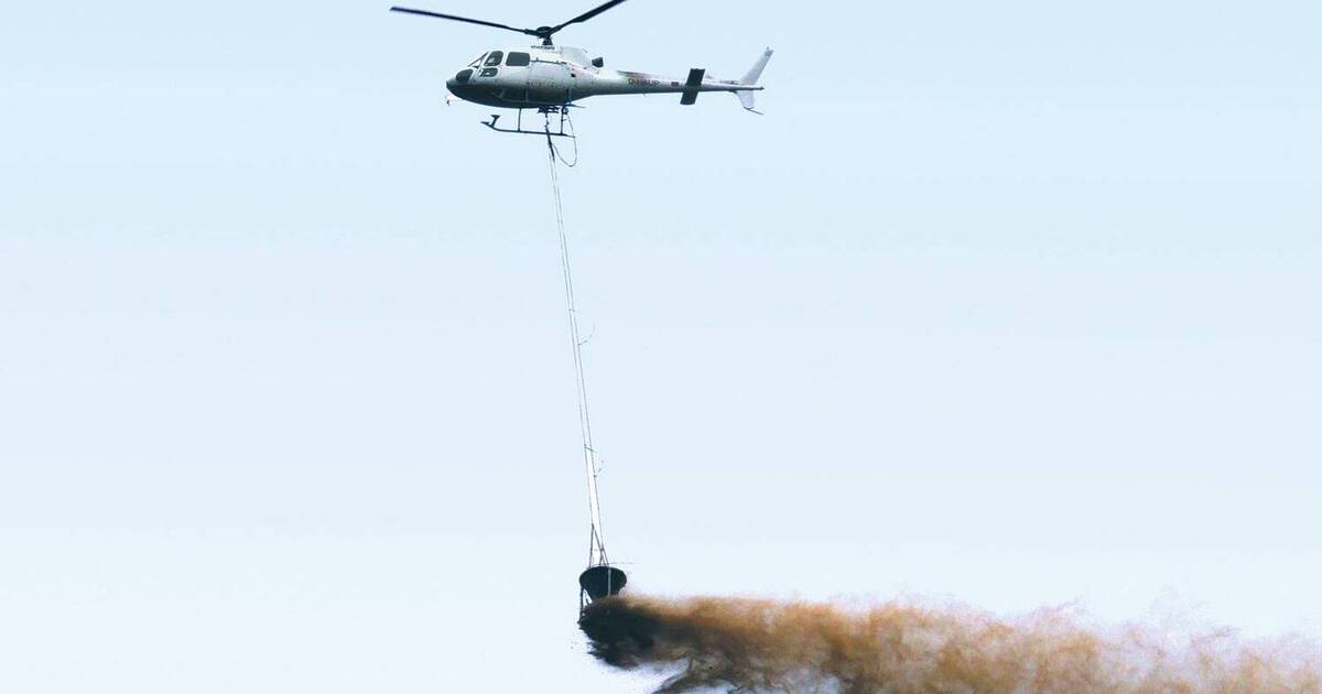 Hubschrauber kalkt den Wald zwischen Rockenau und Zwingenberg - Rhein-Neckar Zeitung