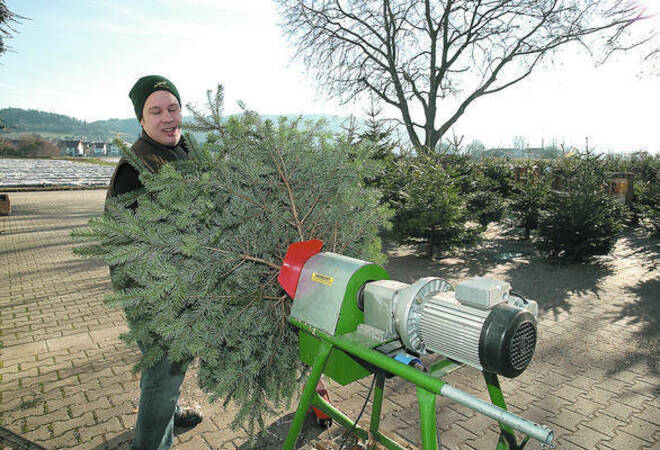 weihnachtsbaum anspitzmaschine 28 images diwa putz und weihnachtsbaum anspitzmaschine 28 images diwa putz und