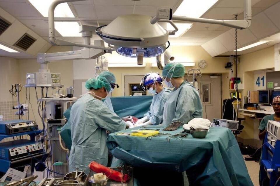 Gebärmutter-Transplantation