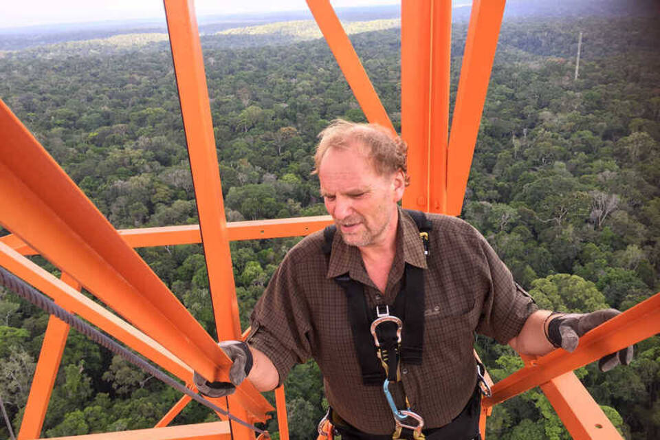Ein Rekord-Turm im Urwald: Auf der Spur der Klimageheimnisse