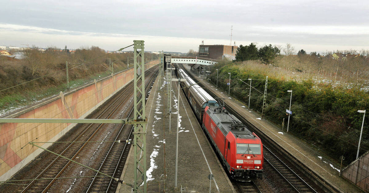 Brandstiftung: Einschränkungen im Zugverkehr nach Kabelbrand bei Hockenheim - Rhein-Neckar Zeitung