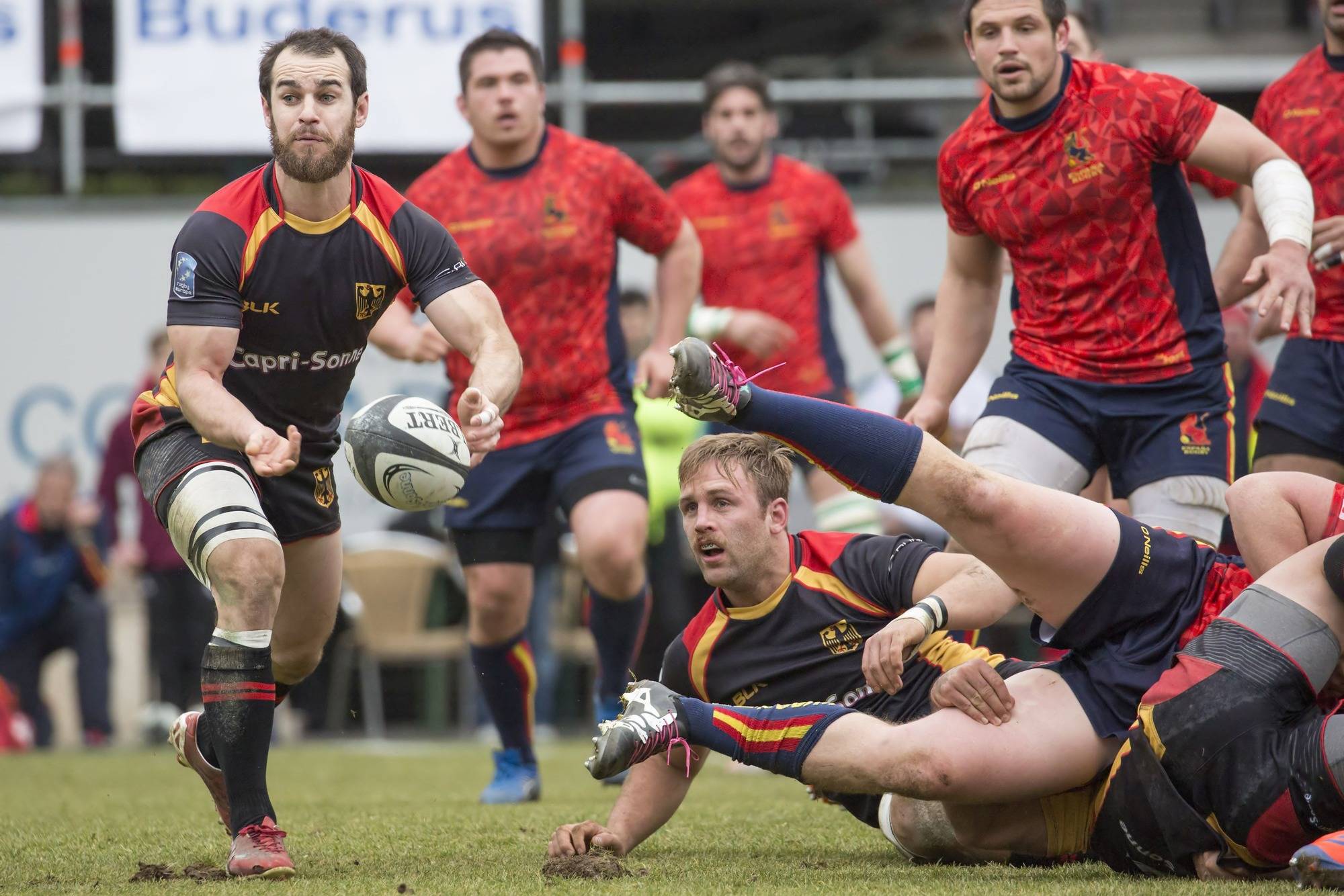 wm rugby 2019 wm rugby 2019