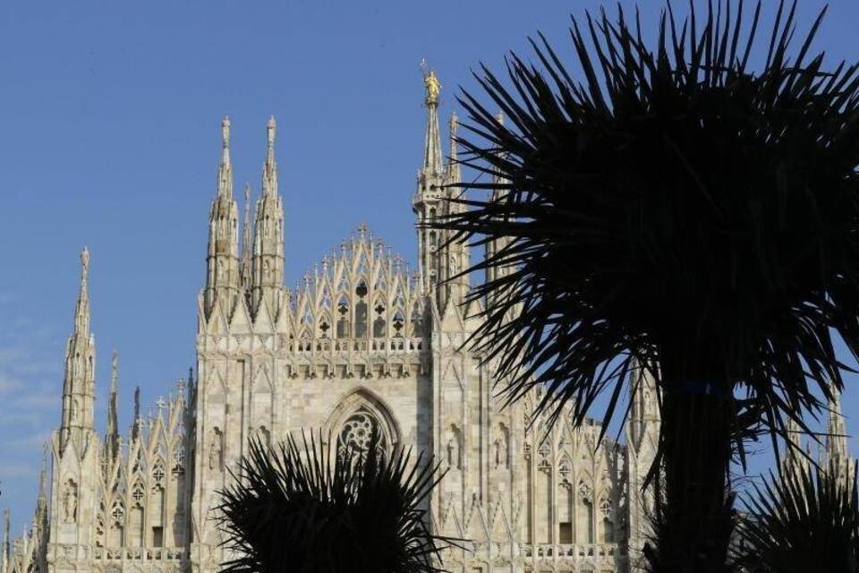 Palmen vor dem Dom in Mailand