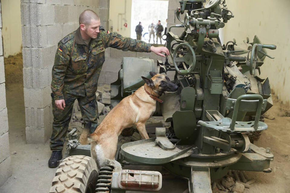 Neue Jobs für Hunde der Bundeswehr