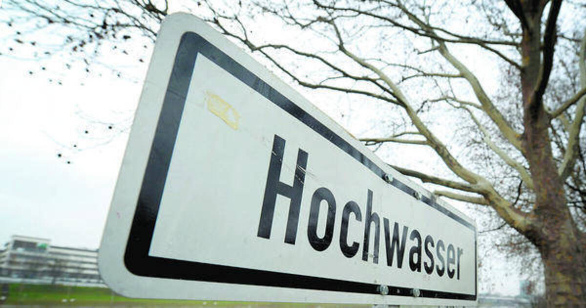 Baustelle am Hochwassersperrtor Ladenburg: Halbseitige Straßensperrung der ... - Rhein-Neckar Zeitung