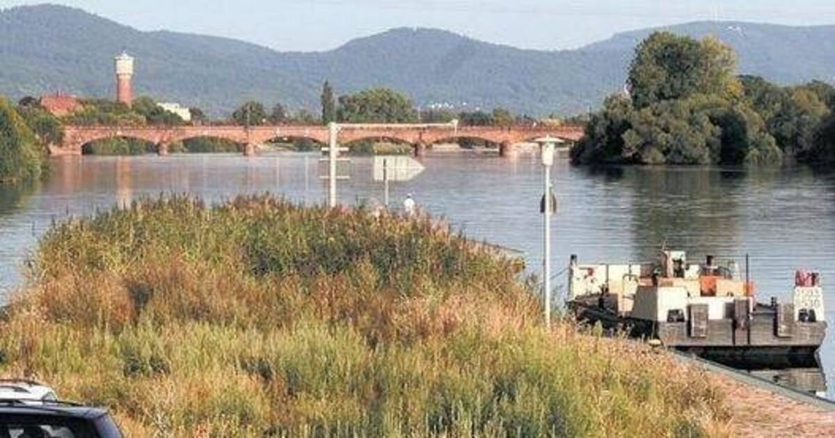 Ladenburg: Wird die Neckarbrücke nun 2019 gebaut? - Rhein-Neckar Zeitung