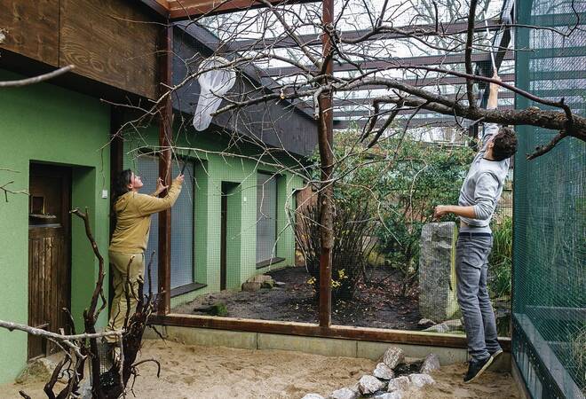
		Inventur im Heidelberger Zoo:  Alles, was fliegt und kriecht und rennt
		
