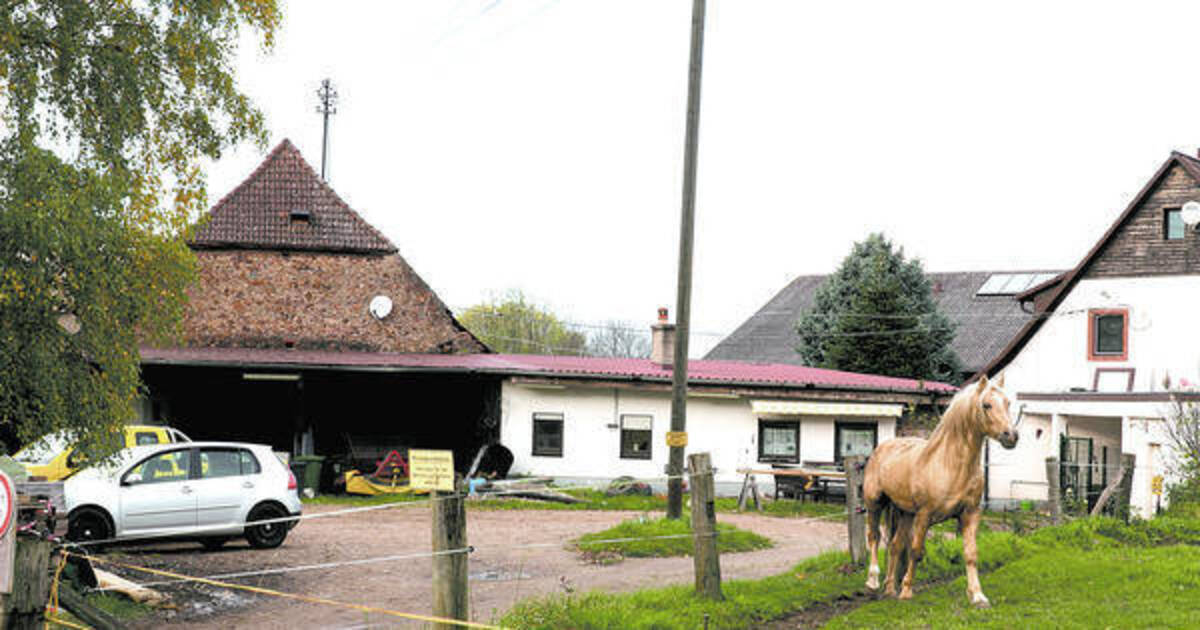 Rhein neckar zeitung sie sucht ihn