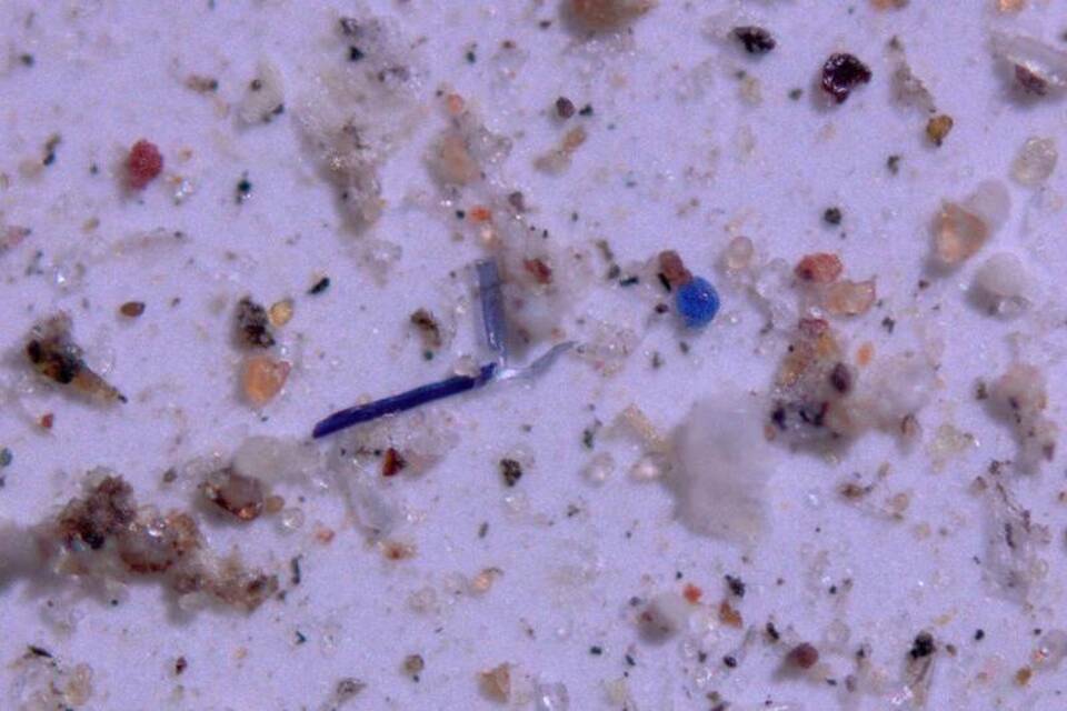 Mikroplastik Mikroplastik