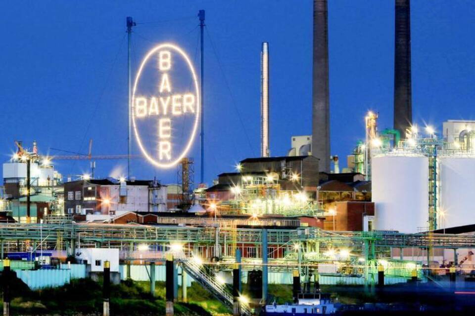 Bayer Bayer