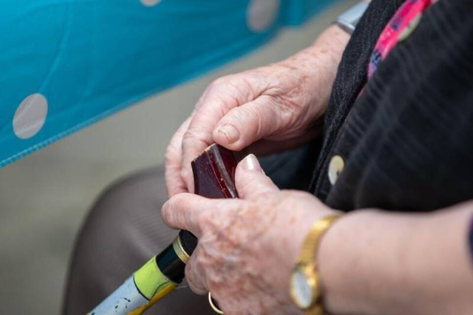 Steigende Pflegekosten Steigende Pflegekosten