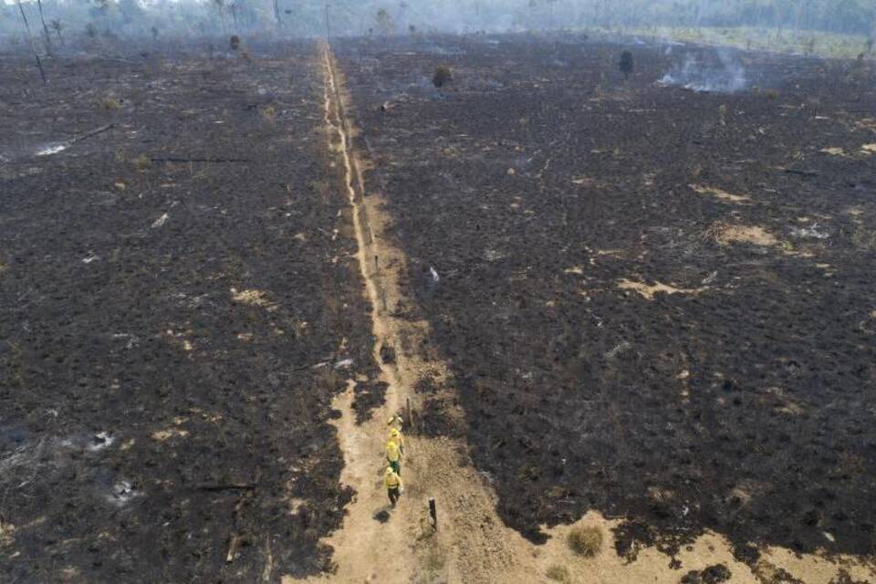 Brände im brasilianischen Amazonas - Mercosur