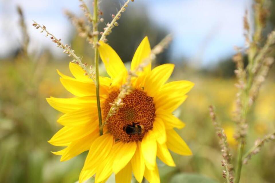 Sommerbilanz Sommerbilanz