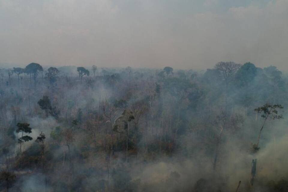 Brände im Amazonas-Gebiet in Brasilien