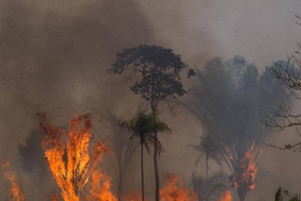 Waldbrand Waldbrand