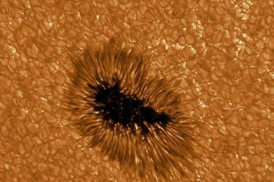 Sonnenfleck Sonnenfleck