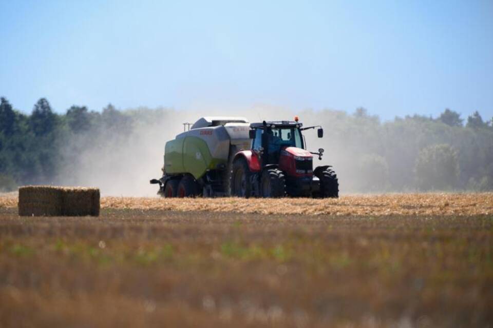 Arbeit auf dem Feld