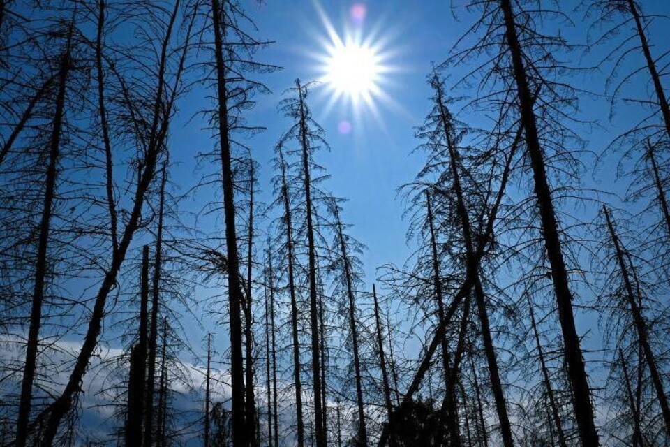 UN: Corona-Pandemie bremst Klimawandel nicht nachhaltig aus UN: Corona-Pandemie bremst Klimawandel nicht nachhaltig aus