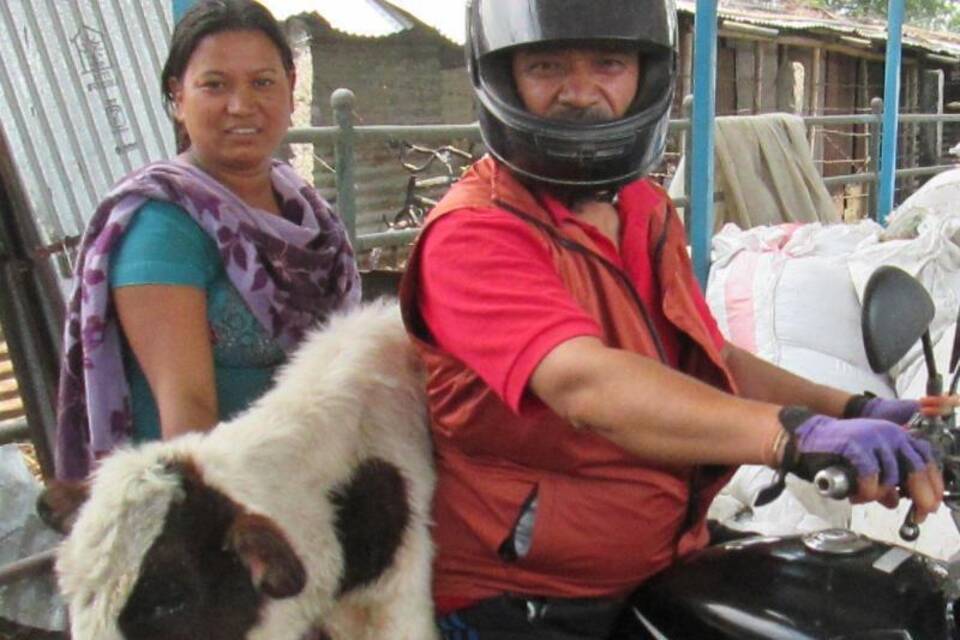 Kuh-Retter Kuh-Retter