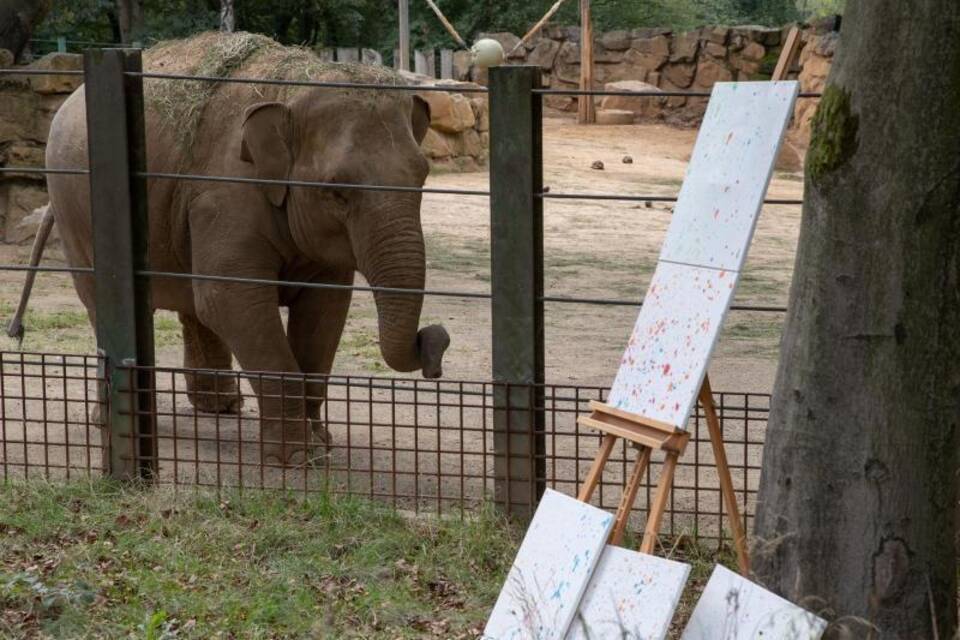 Elefanten-Kunst