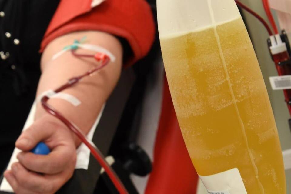 Blutplasma-Forschung Blutplasma-Forschung