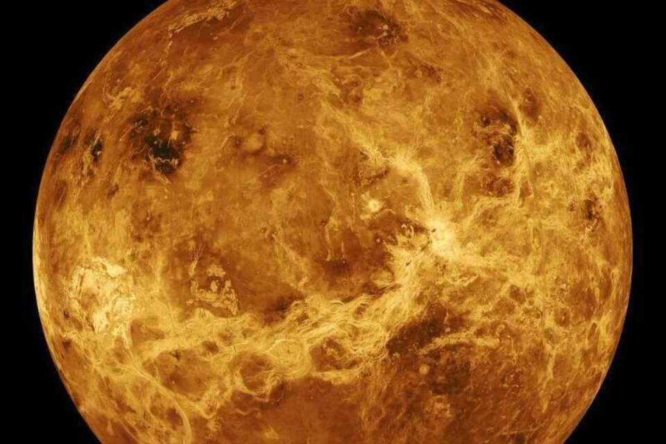 Forscher: Hinweise auf Leben auf der Venus Forscher: Hinweise auf Leben auf der Venus