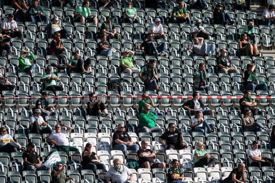 Fußball-Fans im Stadion Fußball-Fans im Stadion