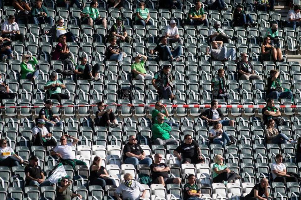 Fußball-Fans im Stadion