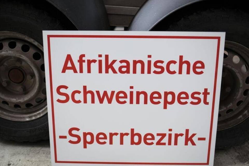 Schweinepest Schweinepest
