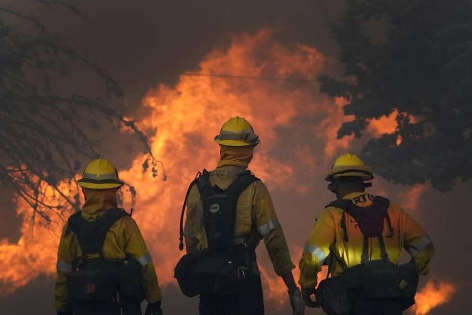 Waldbrand Waldbrand